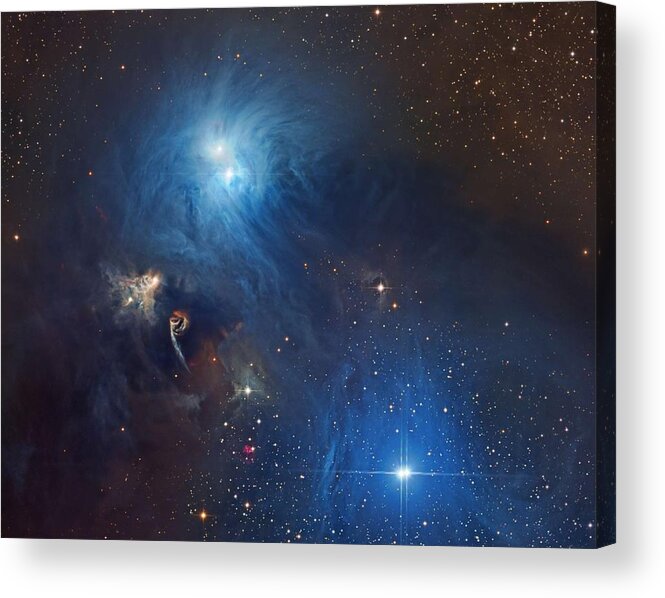 Nebula Acrylic Print featuring the painting NGC6726_c80schedler by Celestial Images