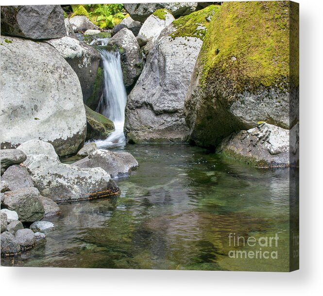 Waterfalls Acrylic Print featuring the photograph Nickel Creek 1019 by Chuck Flewelling