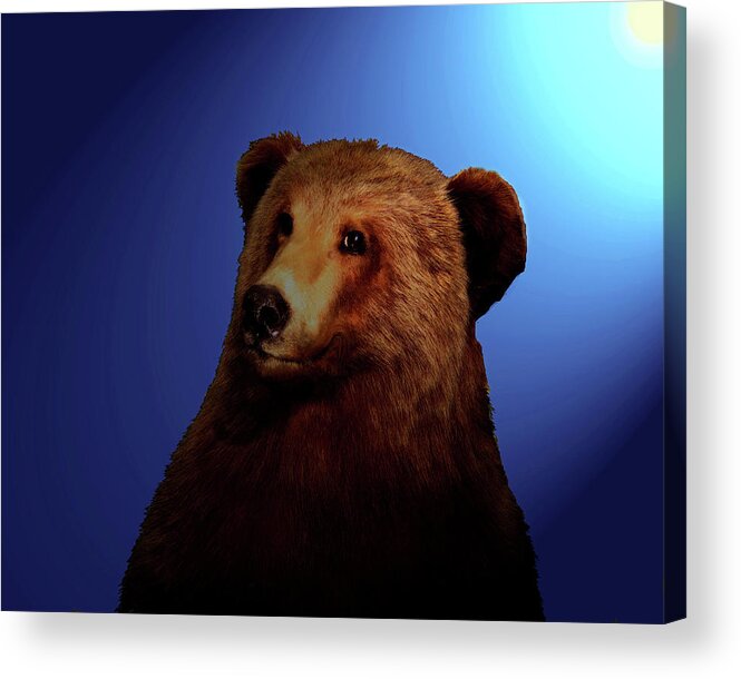Bear Acrylic Print featuring the digital art Night Bear by Timothy Bulone