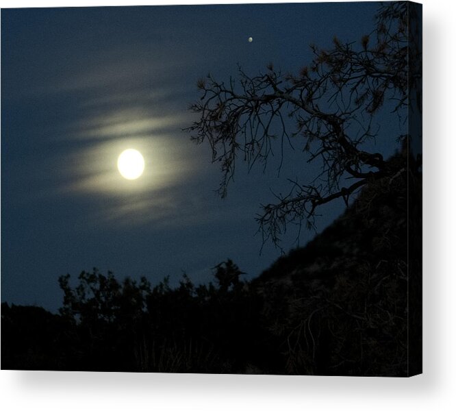 Night Acrylic Print featuring the photograph Night in Joshua Tree National Park 1 by Patricia Quandel