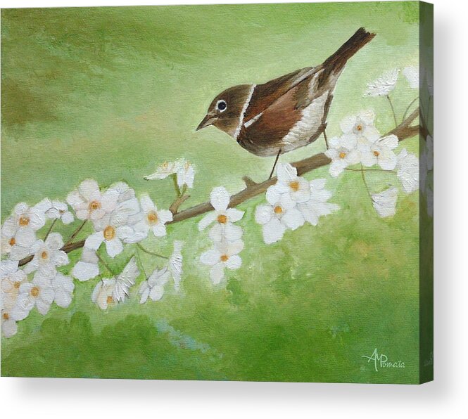 Nightingale Acrylic Print featuring the painting Nightingale Among Almond Flowers by Angeles M Pomata
