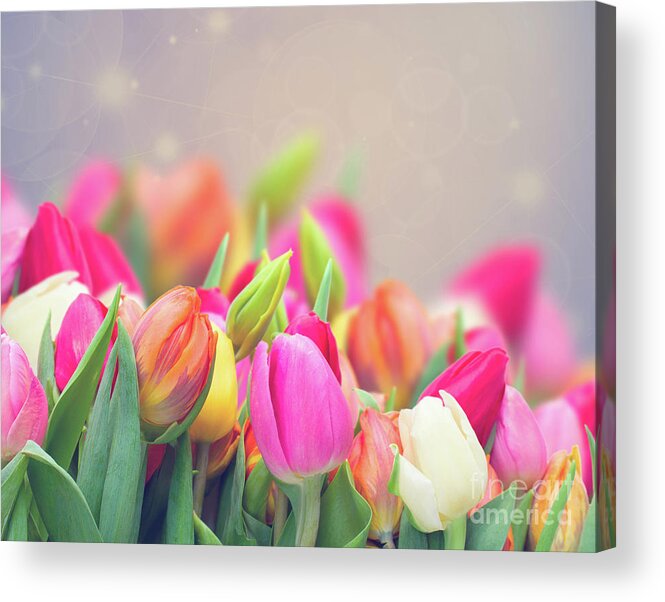 Beam Acrylic Print featuring the photograph Tulips in my Garden by Anastasy Yarmolovich