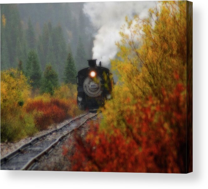 Colorado Acrylic Print featuring the photograph Number 482 by Steve Stuller
