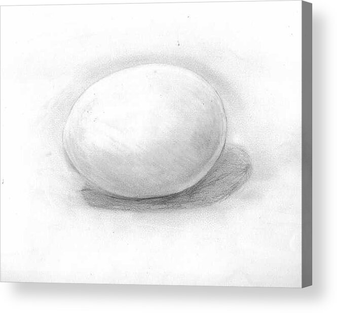 Egg Acrylic Print featuring the drawing observation EGG ON WHITE by Katie Alfonsi