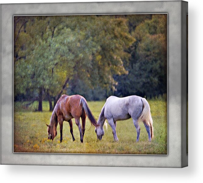 Ok Horse Ranch Acrylic Print featuring the photograph Ok Horse Ranch_2b by Walter Herrit