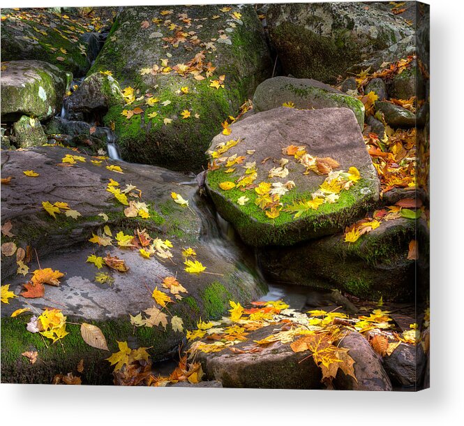 Rocks Acrylic Print featuring the photograph On the Rocks 2015 by Bill Wakeley