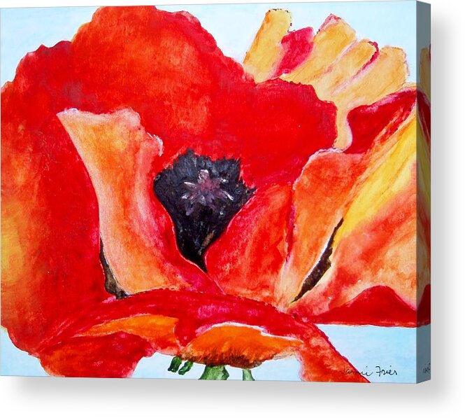 Flower Acrylic Print featuring the painting Orange Poppy by Jamie Frier