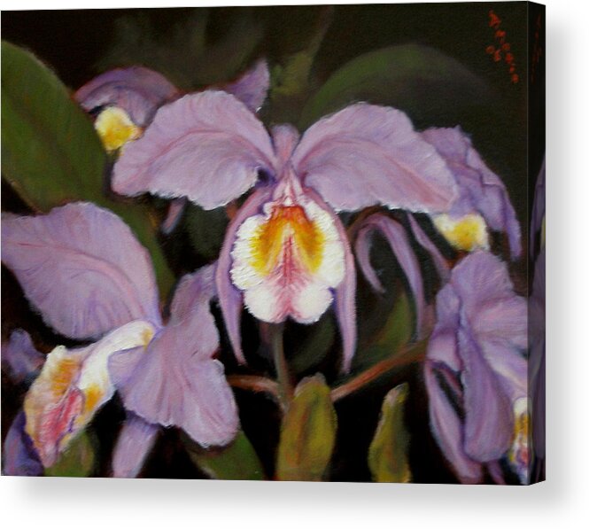 Realism Acrylic Print featuring the painting Orchids by Donelli DiMaria