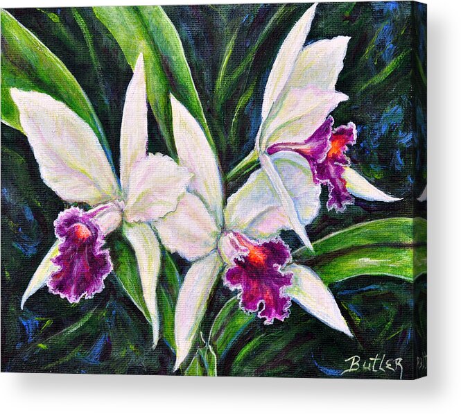 Nature Flower Orchid Purple Acrylic Print featuring the painting Orchids by Gail Butler