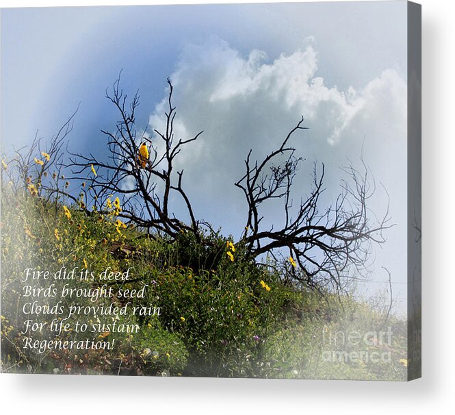 Poems Acrylic Print featuring the photograph p10 by Tom Griffithe