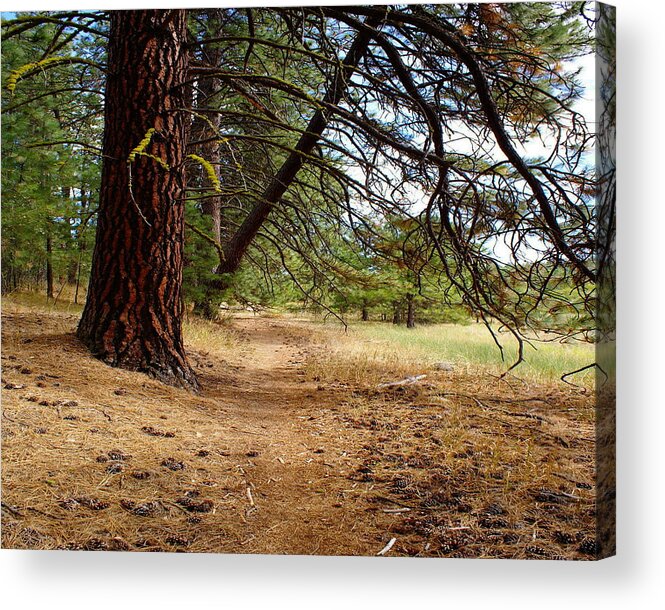 Nature Acrylic Print featuring the photograph Path to Enlightenment 1 by Ben Upham III