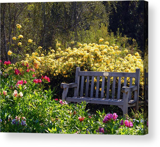 Flowers Acrylic Print featuring the photograph Peaceful by Amy Fose