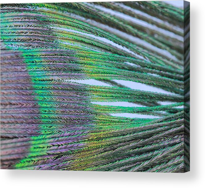 Peacock Acrylic Print featuring the photograph Peacock Abstract by Angela Murdock