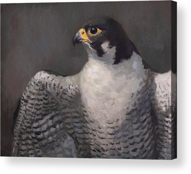 Peregrine Falcon Acrylic Print featuring the painting Peregrine Falcon by Attila Meszlenyi