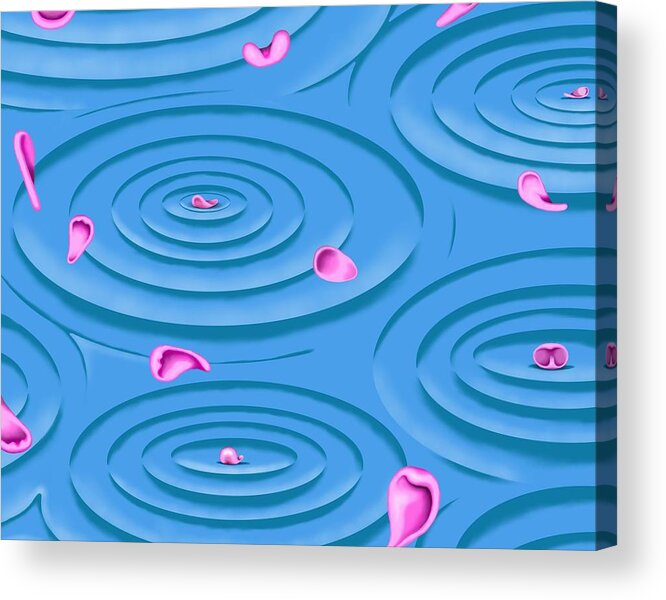 Surrealism Acrylic Print featuring the digital art Petals on Water I by Robert Morin