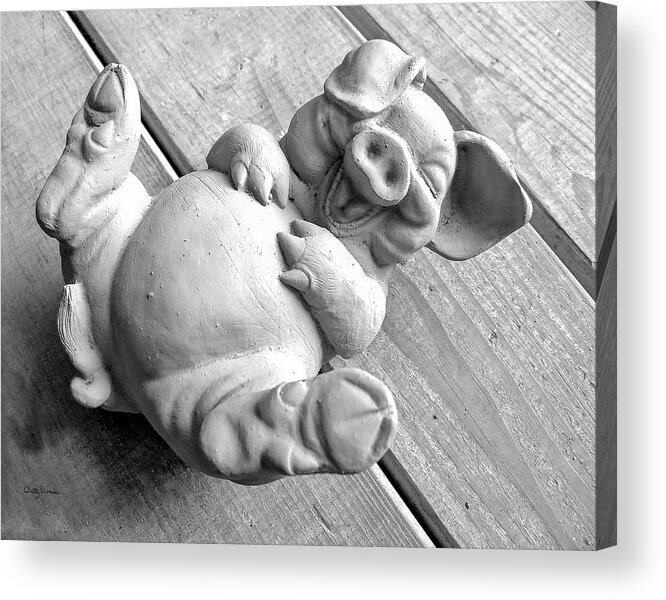Happy Acrylic Print featuring the photograph Pig Having a Belly Laugh Because I'm Happy by Betty Denise