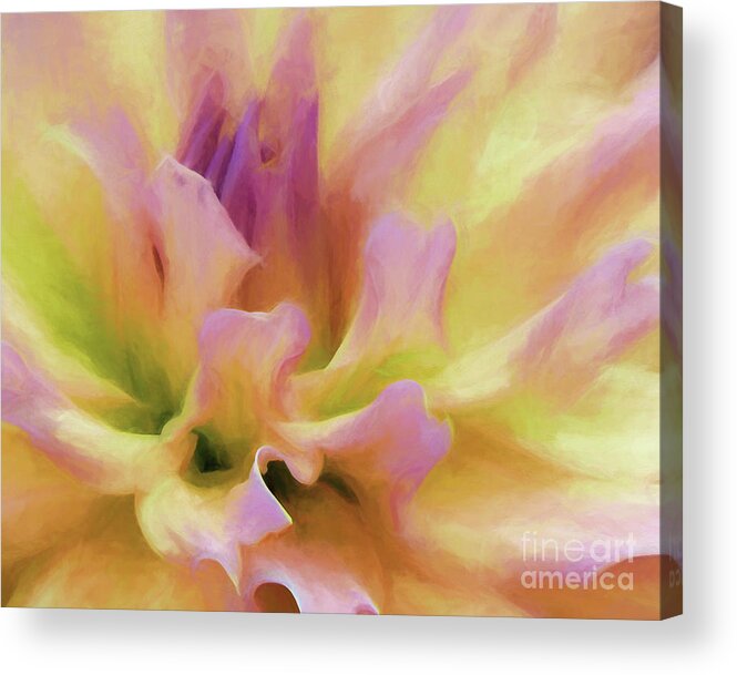Bloom Acrylic Print featuring the photograph Pink Dalia Oil Glaze by Lorraine Cosgrove