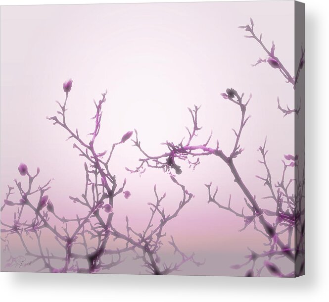 Pink Wall Art Acrylic Print featuring the photograph Pink Dawn by Ann Powell