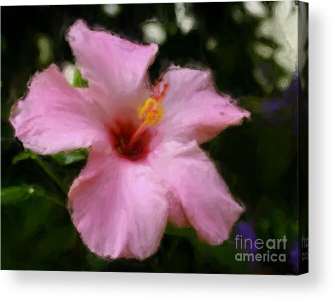 Flower Acrylic Print featuring the painting Pink Hibiscus by Smilin Eyes Treasures