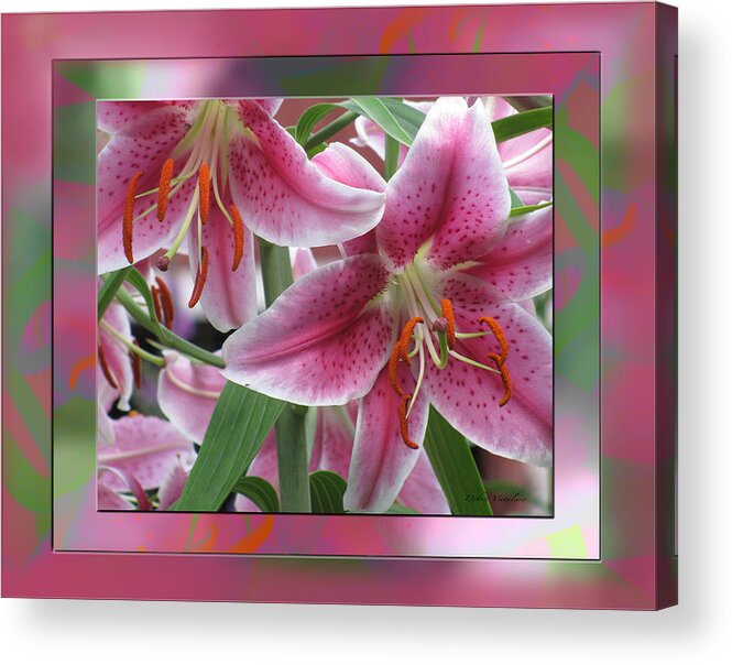 Pink Lily Design Acrylic Print featuring the photograph Pink Lily Design by Debra   Vatalaro