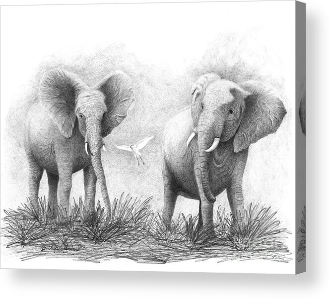 Elephants Acrylic Print featuring the drawing Playtime by Phyllis Howard