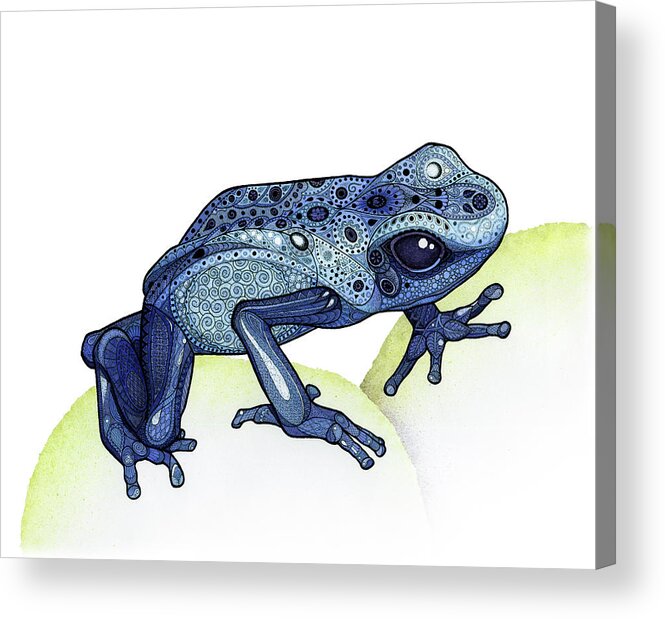 Zentangle Acrylic Print featuring the drawing Poison Dart Frog by ZH Field