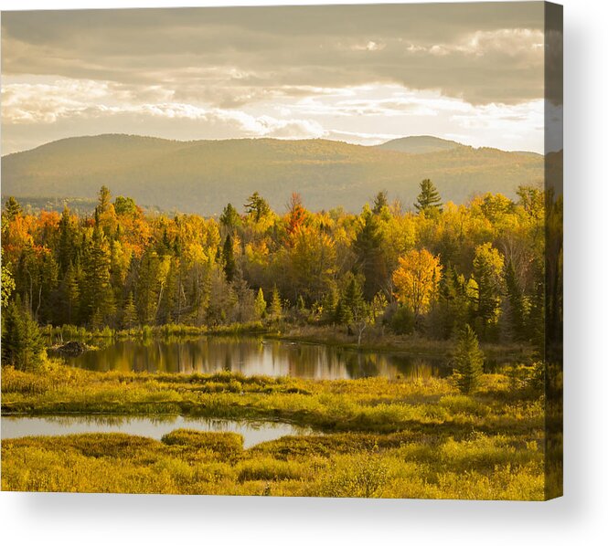 Leaves Acrylic Print featuring the photograph Pond with Autumn Foliage by Vance Bell