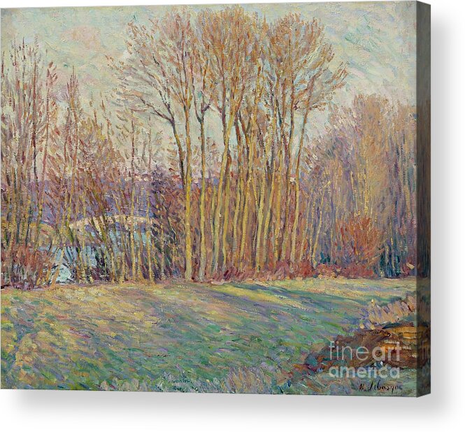 Henri Lebasque Acrylic Print featuring the painting Poplars in Autumn near Chalifert by MotionAge Designs