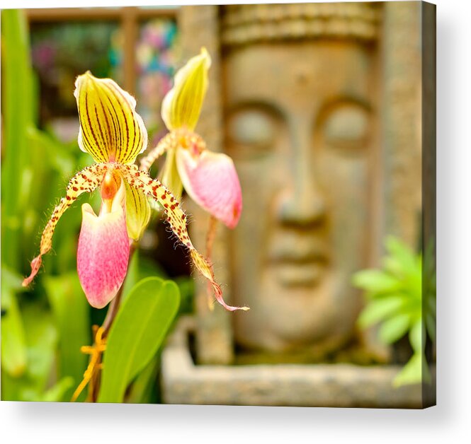 Buddhist Temple Acrylic Print featuring the photograph Pretty flower by Raul Rodriguez