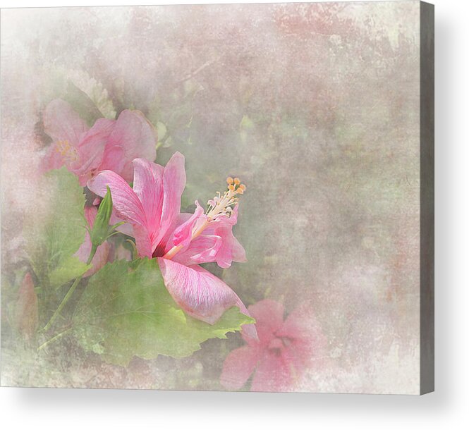 Flower Acrylic Print featuring the digital art Pretty Pink Hibiscus by Michele A Loftus