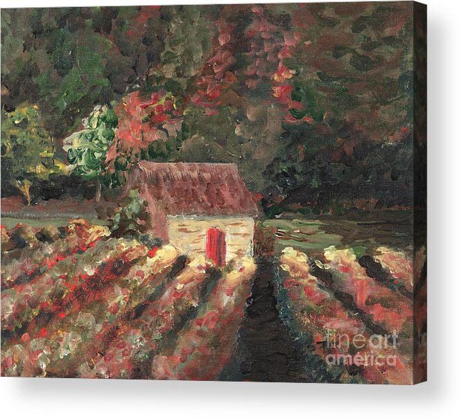 Landscape Acrylic Print featuring the painting Provence Vineyard by Nadine Rippelmeyer