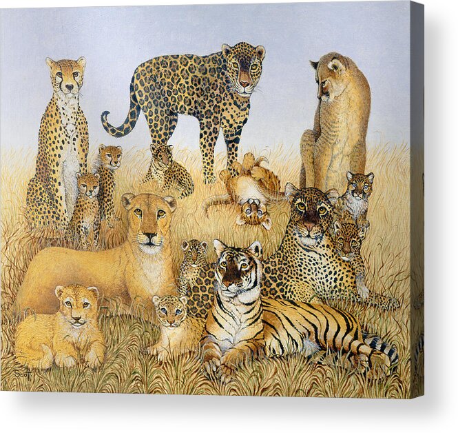 Lioness Acrylic Print featuring the painting The Big Cats by Pat Scott