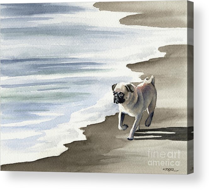 Pug Acrylic Print featuring the painting Pug at the Beach by David Rogers