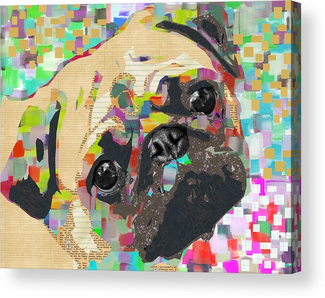 Pug Acrylic Print featuring the mixed media Pug Collage by Claudia Schoen