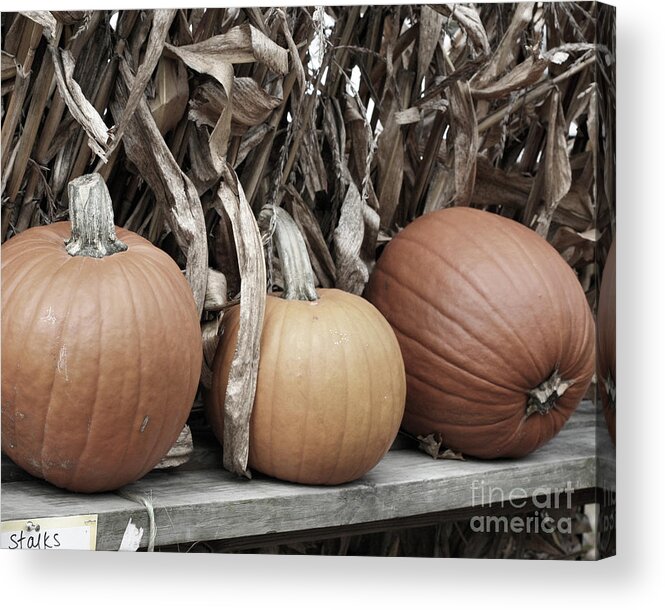 Pumpkin Acrylic Print featuring the photograph Pumpkins For Sale by Smilin Eyes Treasures