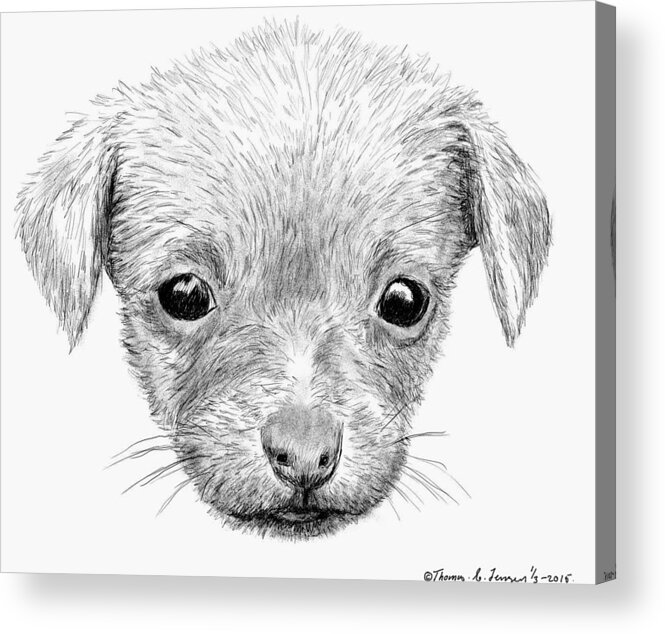 Sketch Acrylic Print featuring the digital art Puppy by ThomasE Jensen