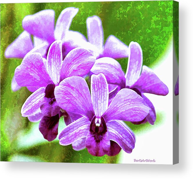 Flowers Acrylic Print featuring the photograph Purple Cluster Orchids by Roberta Byram