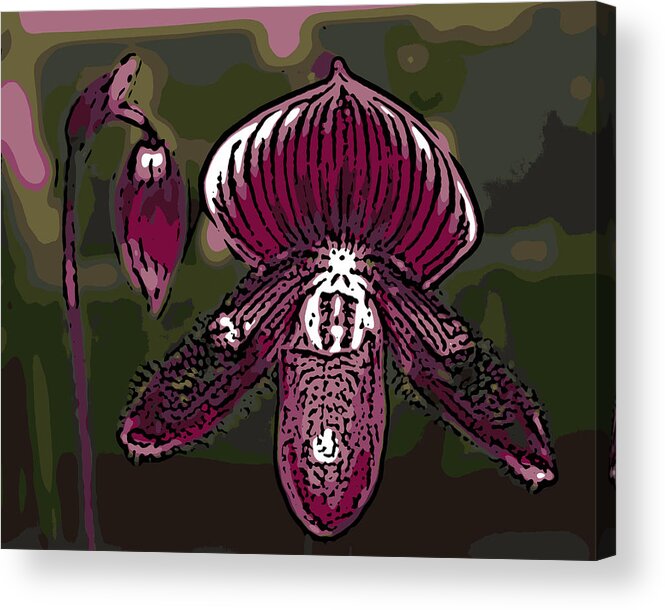 Orchid Acrylic Print featuring the photograph Purple Orchid Woodcut by Ann Tracy