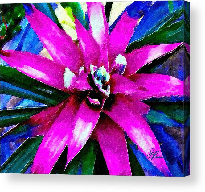 Rose Acrylic Print featuring the photograph Purple Star Flower close up by Joan Reese