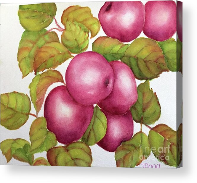 Apples Acrylic Print featuring the painting Purple variety by Inese Poga