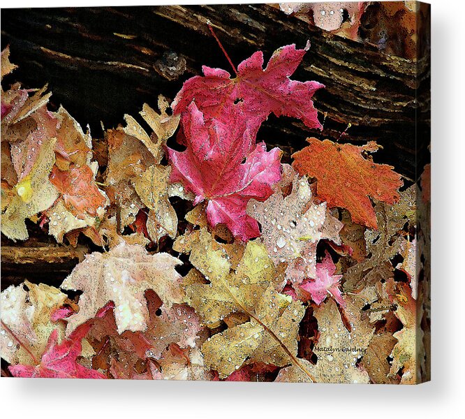 Leaves Acrylic Print featuring the photograph Rainy Day Leaves by Matalyn Gardner
