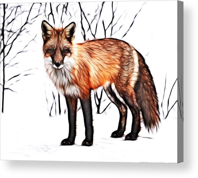 Red Fox Acrylic Print featuring the painting Red Fox Digital painting by Georgeta Blanaru