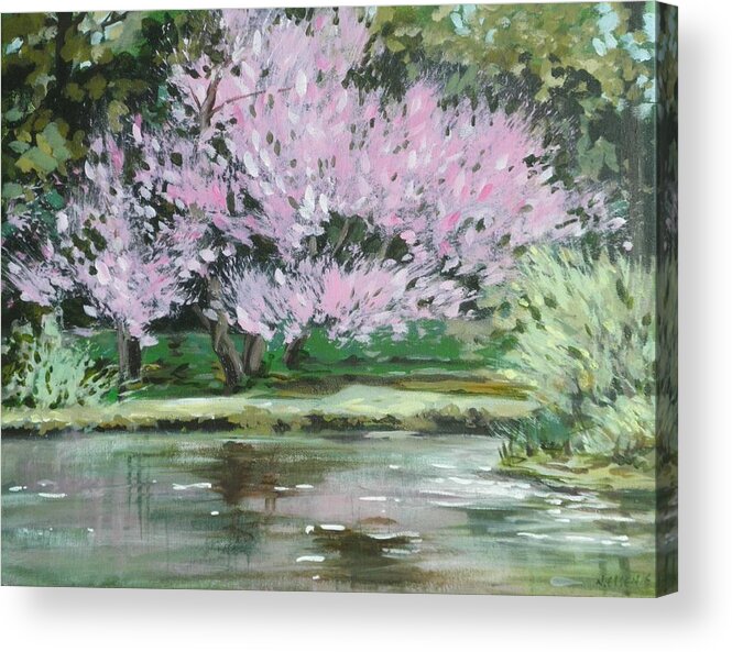 Redbud Tree Acrylic Print featuring the painting Redbud Reflections by Outre Art Natalie Eisen