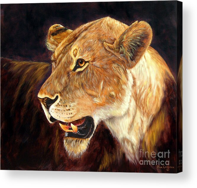 Lion Acrylic Print featuring the painting Regal Power by Tom Chapman