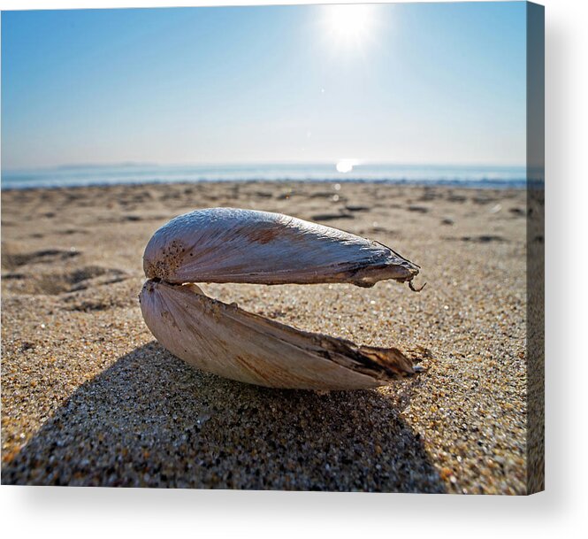 Revere Acrylic Print featuring the photograph Revere Beach Clam Shell Side Revere MA by Toby McGuire