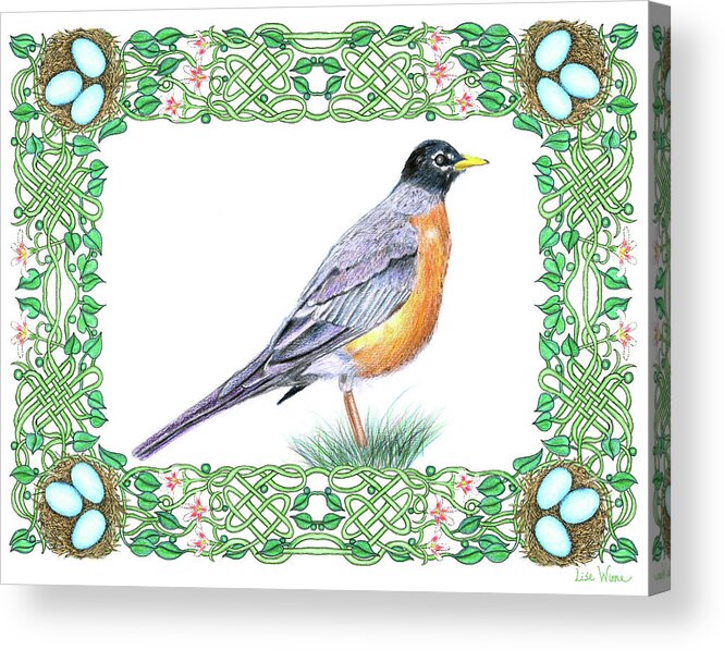 Lise Winne Acrylic Print featuring the drawing Robin in Spring by Lise Winne