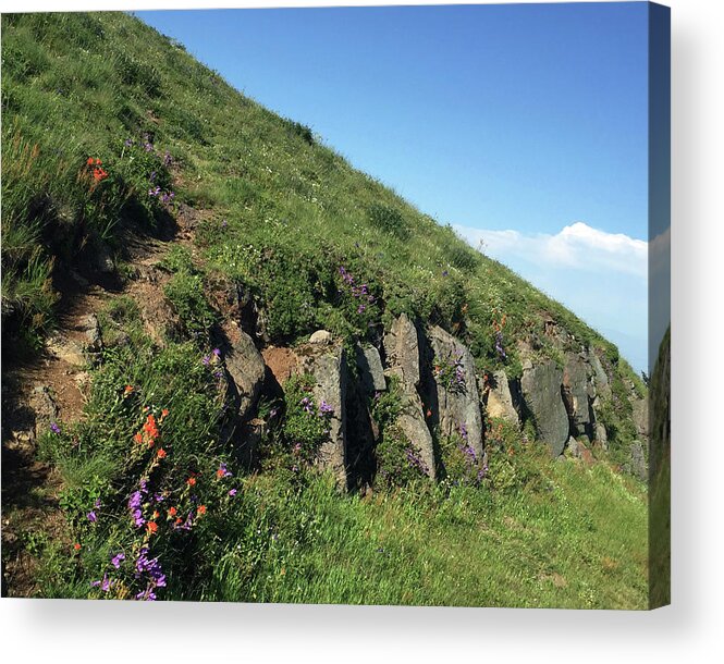 Mary's Peak Acrylic Print featuring the photograph Rocks, flowers, and hillside by Paula Joy Welter
