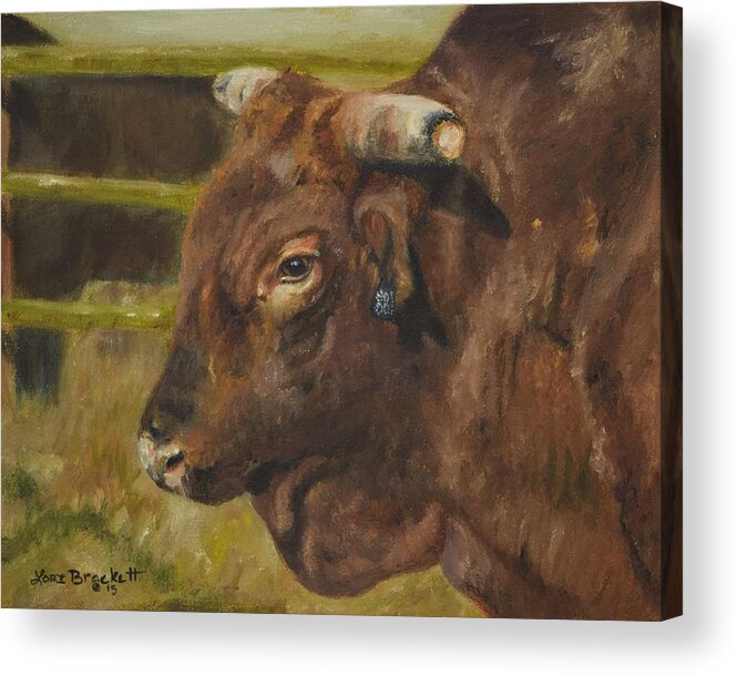 Stock Acrylic Print featuring the painting Rodeo Bull 3 by Lori Brackett