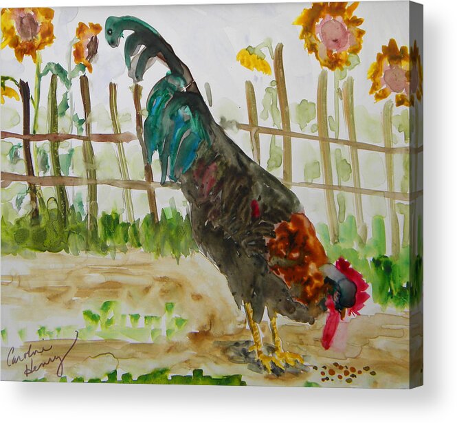Watercolor Acrylic Print featuring the painting Rooster and Sunflowers by Caroline Henry