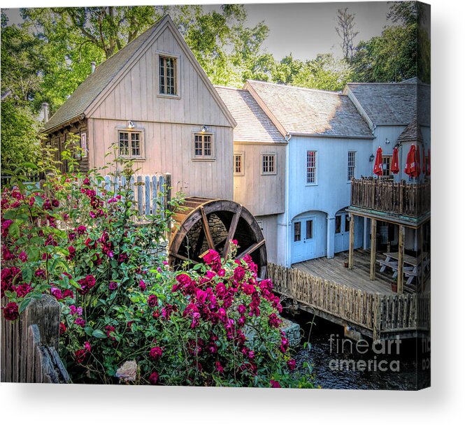 Roses Acrylic Print featuring the photograph Roses at the Plimoth Grist Mill by Janice Drew